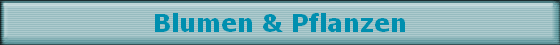Blumen & Pflanzen